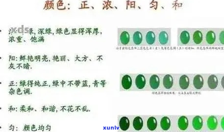 翡翠鉴定分级新 *** ：权威标准与实用技巧结合