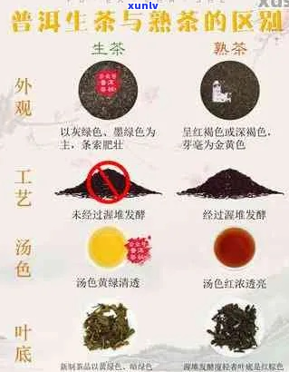 普洱茶熟茶与生茶 *** 别辨别 *** 