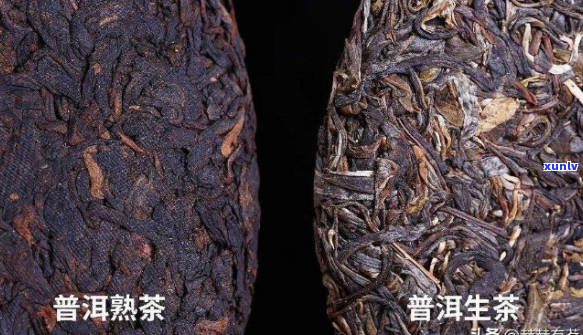 普洱茶熟茶与生茶 *** 别辨别 *** 