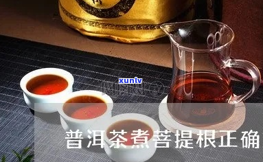 普洱茶泡法与菩提根搭配指南：如何正确冲泡和品尝以获得口感？