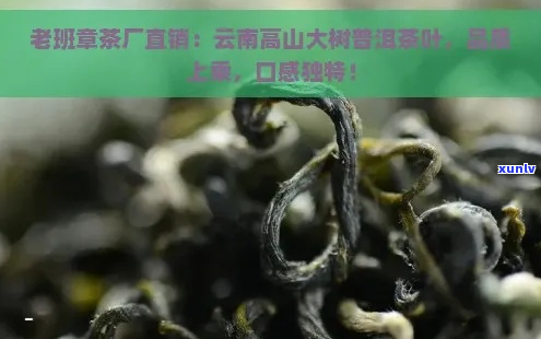 云南胖嫂普洱茶大叶茶 - 精选纯正云南茶叶，口感醇厚，品质保证