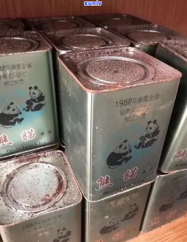 '2000年猫普洱茶：1988年猫普洱茶骗局揭露'