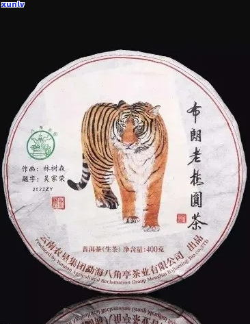 猫1988年普洱茶：一款年份、品质与故事的完美结合