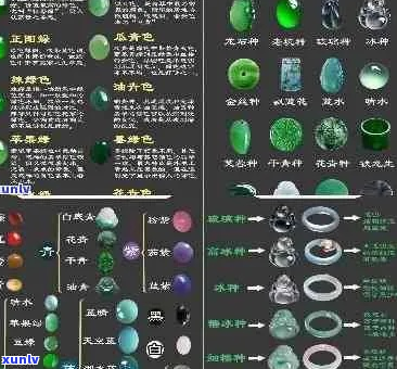 新翡翠宝石的种类、鉴定 *** 及市场价值解析