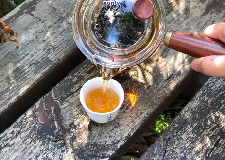 红茶与绿茶普洱茶哪个好： 品尝区别与个人喜好