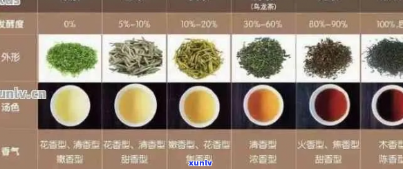 探索茶叶的世界：红茶、绿茶与普洱茶的健益处与独特功效