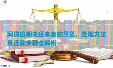 欠网贷本金分期还款方式-欠网贷本金分期还款方式有哪些