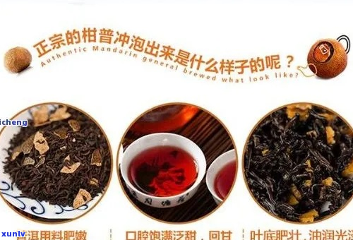 '陈皮普洱茶 *** 全攻略： *** 、配料与泡法一览'