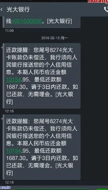 光大的信用卡逾期两天会有什么后果-光大的信用卡逾期两天会有什么后果吗