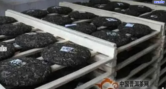 普洱茶发酵技术详解：从原料到成品的全方位解析