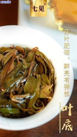 冰岛南迫茶：价格解析与品鉴指南，你值得拥有的一杯茶