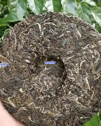 曼弄古树茶价格：2014年澜沧古茶曼弄古树生茶特点与罕村老寨熟茶相比较。