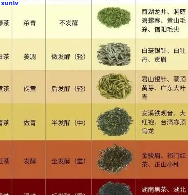 普洱茶七子：茶种、种类与含义