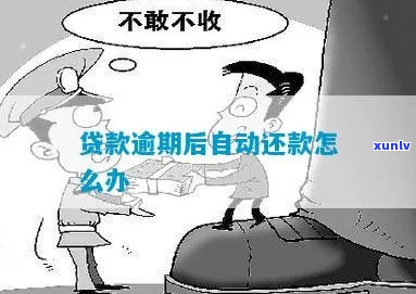 自动贷款逾期了怎么办-自动贷款逾期了怎么办理