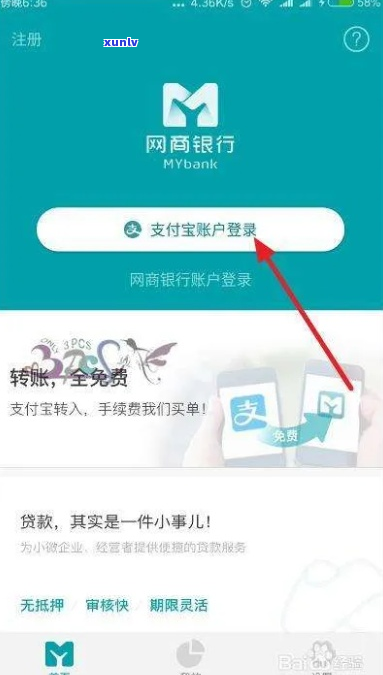 欠支付宝网商银行10万元怎么办-欠支付宝网商银行10万元怎么办呢