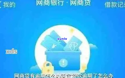 欠支付宝网商银行10万元怎么办-欠支付宝网商银行10万元怎么办呢