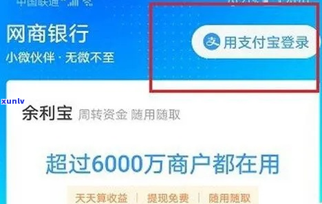 欠支付宝网商银行10万元怎么办-欠支付宝网商银行10万元怎么办呢