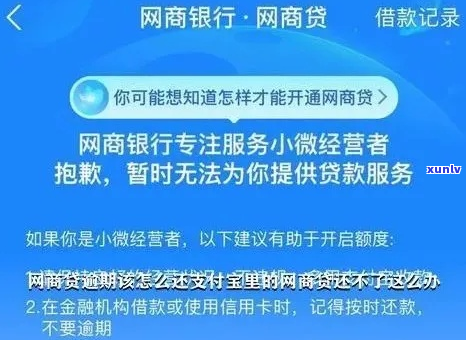 欠支付宝网商银行10万元怎么办-欠支付宝网商银行10万元怎么办呢