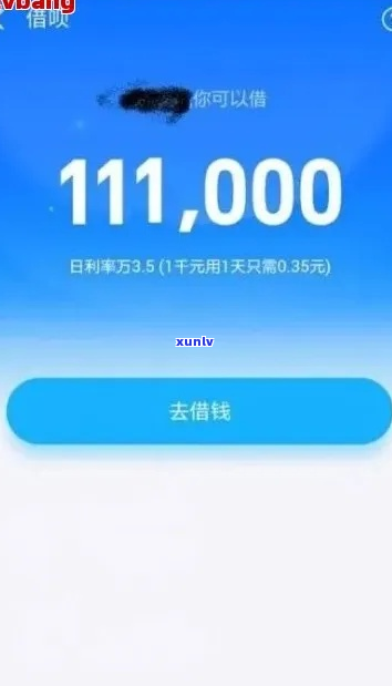 欠支付宝网商银行10万元怎么办-欠支付宝网商银行10万元怎么办呢