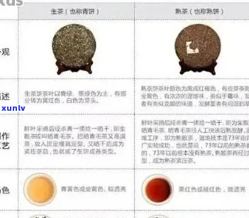 七步解读普洱茶：品尝、鉴、品鉴与品评的全方位指南