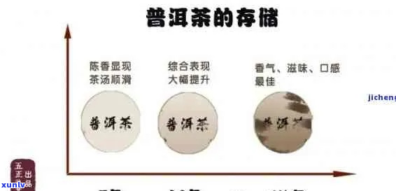 购买普洱茶的可靠性、品质和选择建议——一份全面的指南