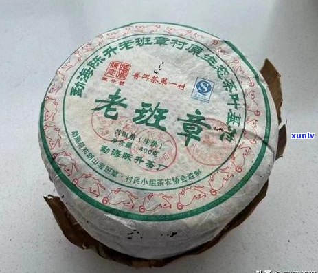 陈升号普洱茶：品种、产地、 *** 工艺与品味特点全面解析