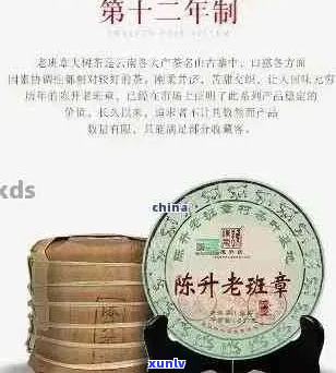 陈升号普洱茶：品种、产地、 *** 工艺与品味特点全面解析