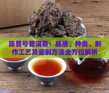 陈升号普洱茶：品种、产地、 *** 工艺与品味特点全面解析