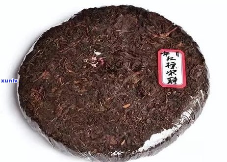 普洱茶纸与笋叶：两种茶叶包装材料的区别解析及其对茶叶品质的影响