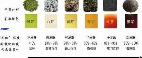 岩茶、普洱茶及两者之间的比较：一种全面的茶叶分类探讨