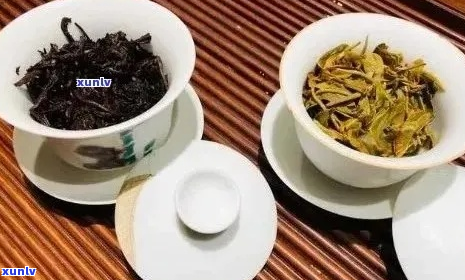 岩茶、普洱茶及两者之间的比较：一种全面的茶叶分类探讨