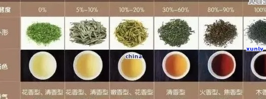 岩茶、普洱茶及两者之间的比较：一种全面的茶叶分类探讨