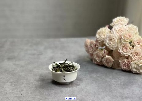 普洱茶与岩茶：一场口感之旅的比较，哪个茶叶更受欢迎？