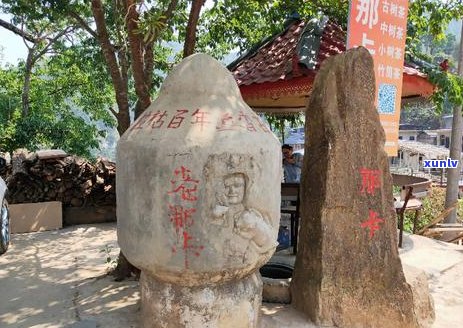 普洱茶老班章的口感特点及其魅力：品味这款经典茶香的完美体验