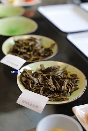 普洱茶老班章的口感特点及其魅力：品味这款经典茶香的完美体验