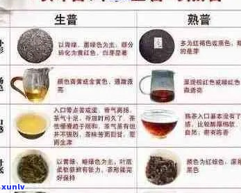 全面解析普洱茶老班章：品质、口感、功效与选购指南