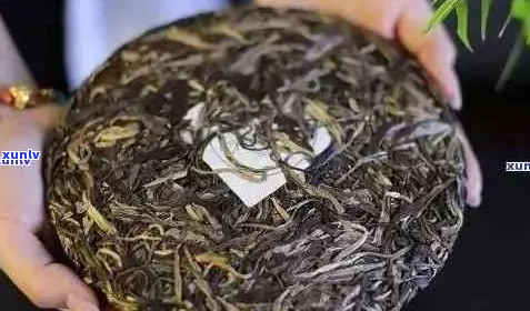 普洱茶老班章的口感特点及其魅力：品味这款经典茶香的完美体验