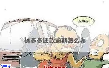 桔多多怎么办-桔多多催款