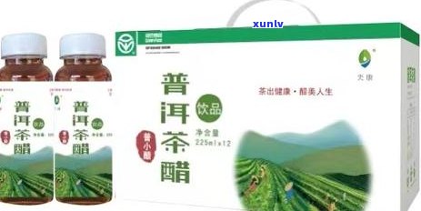 普洱茶的醇化过程：时间、条件与风味的关系探究