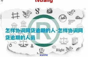 欠网贷如何寻找调解中心进行解决-欠网贷如何寻找调解中心进行解决呢