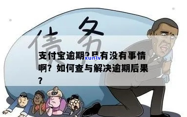 支付宝期成功又二次逾期如何处理-支付宝期成功又二次逾期如何处理的