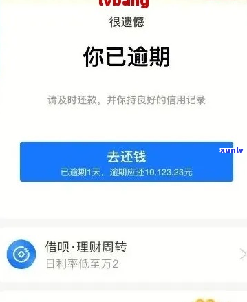 支付宝期成功又二次逾期如何处理-支付宝期成功又二次逾期如何处理的