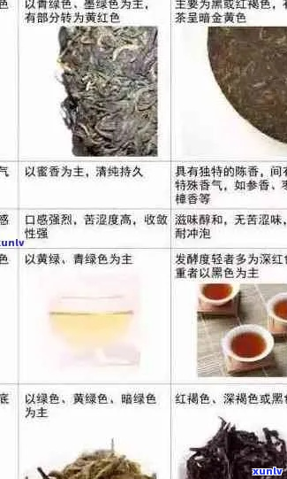 新泰普洱茶全系列品种解析：品鉴、鉴别、购买与收藏指南