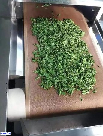 普洱茶稳定性与口感：一款耐泡且味道醇厚的茶叶，是否值得品尝？