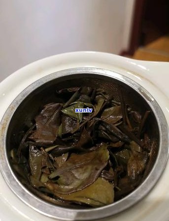 普洱茶性能与功效：探讨普洱茶的性还是凉性