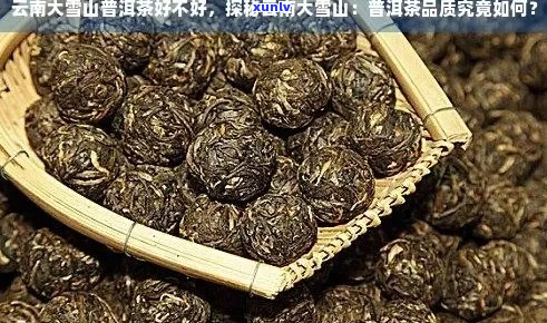 云南大雪山普洱茶的产地及其独特风味探析