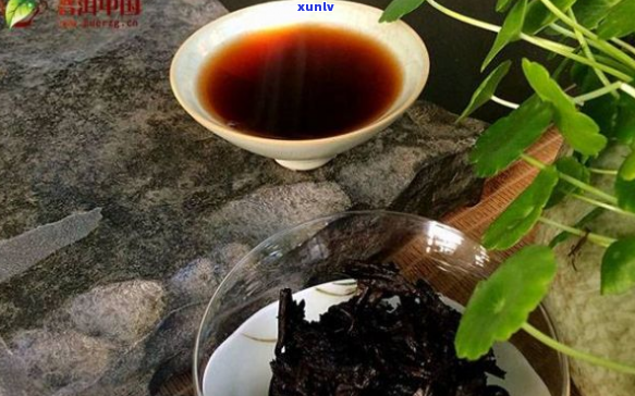 勐海明珠普洱熟茶：古树茶艺，醇厚口感，品质越