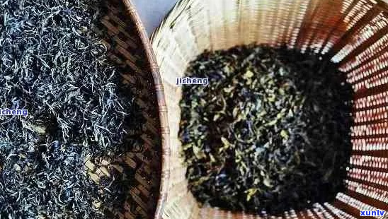 西双版纳明远普洱茶：品质、产地、冲泡 *** 与口感全解析