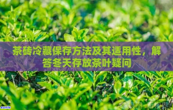 哪些茶需要冷藏存呢？冬天喝，哪种茶需要冷藏？