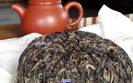 开古树茶：生熟普洱差异与定价